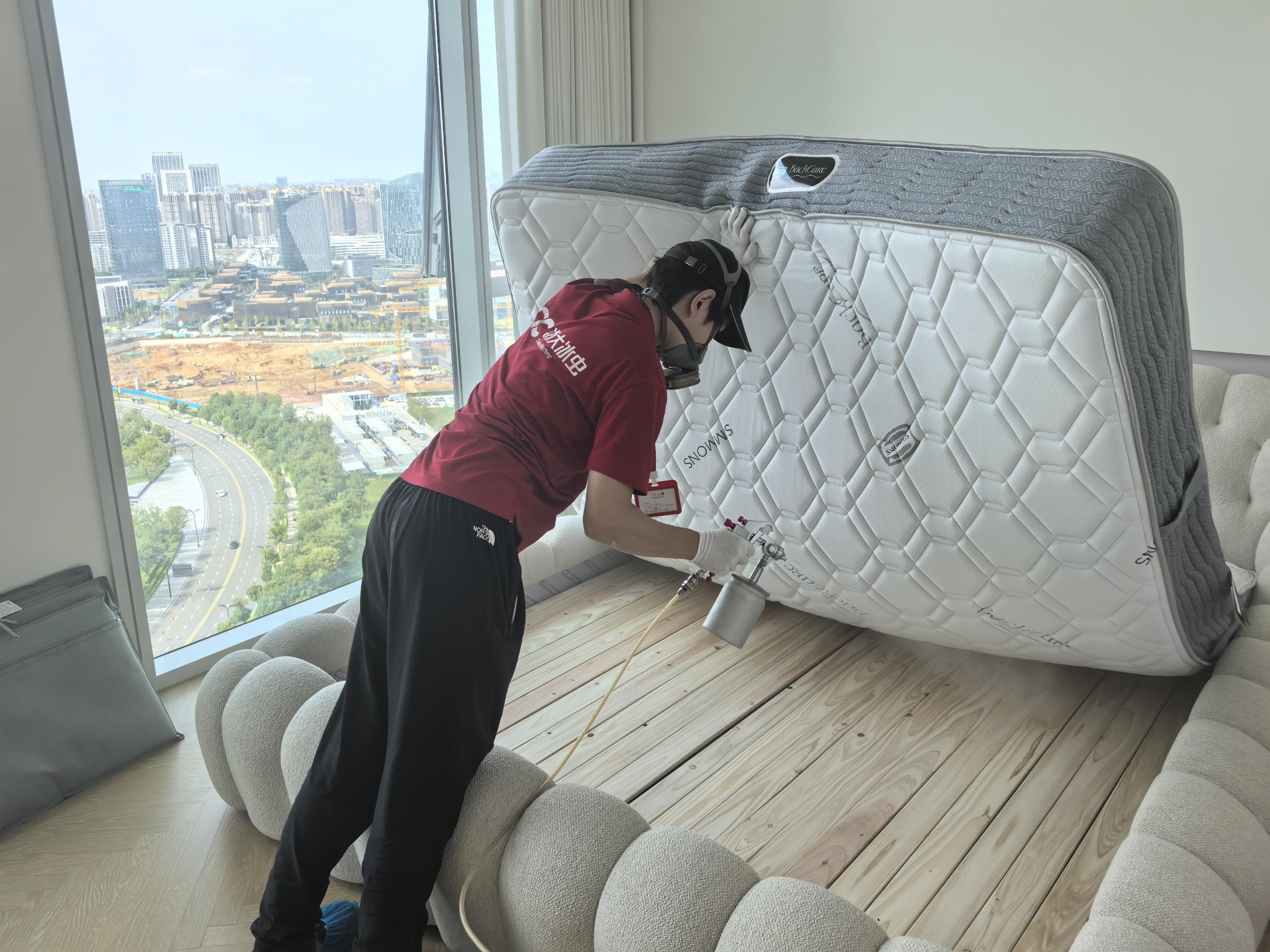 成都冰虫除甲醛工程师