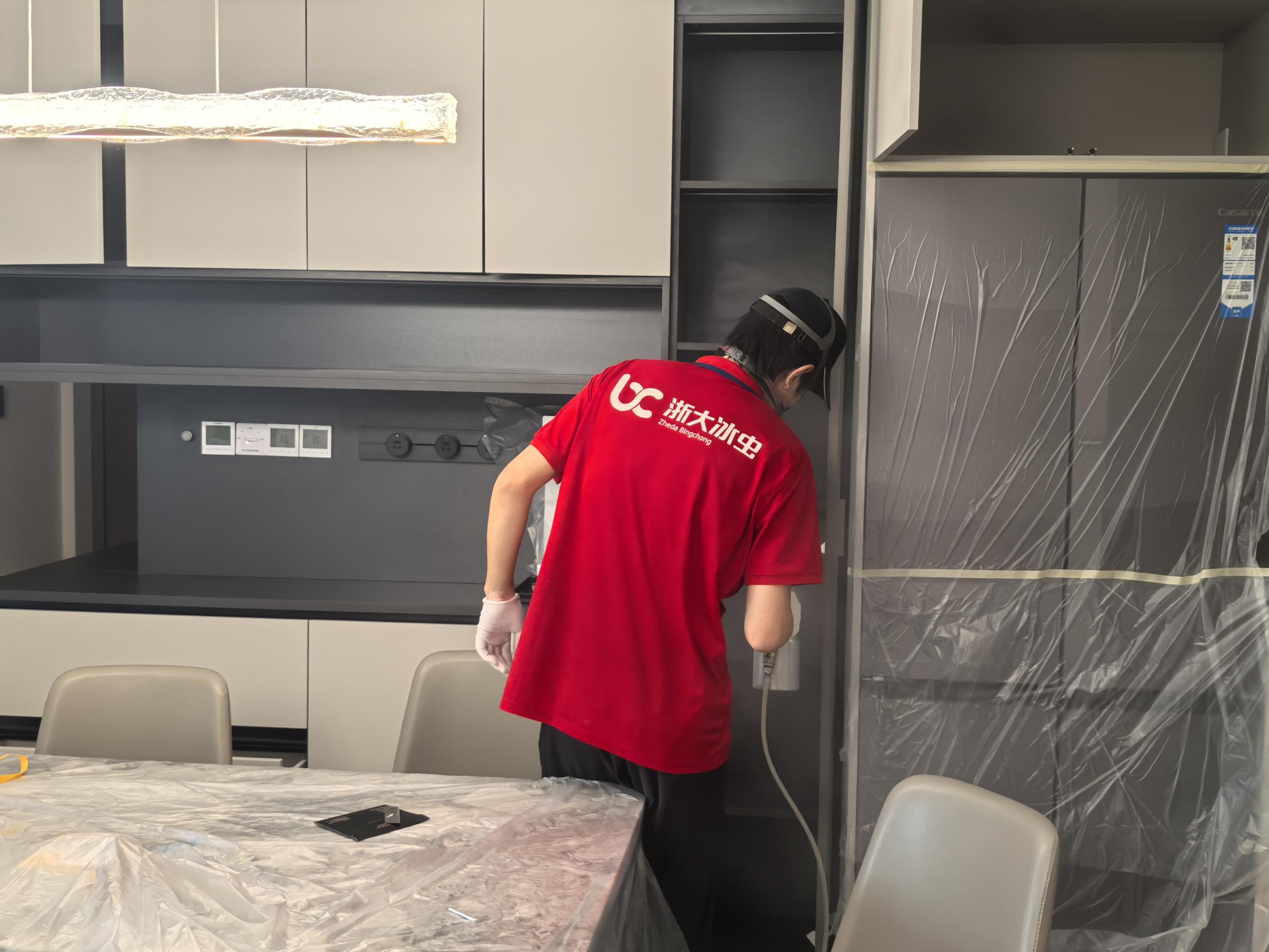 成都冰虫除甲醛工程师